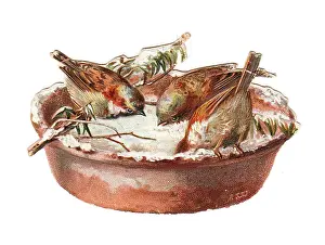 Pecking: Sparrows in snow on a dish-shaped Christmas card