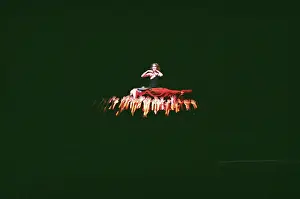 Staged: Spartacus - Spartak ballet, 1994