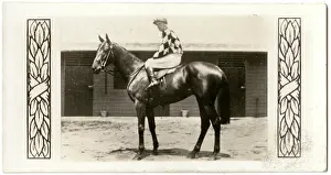 Jockeys: Spearfelt, Australian race horse