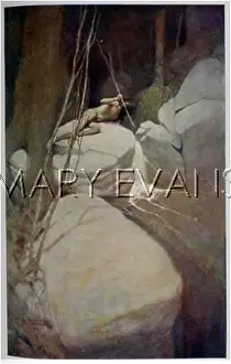 Spearing: SPEARING FISH/1907