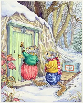 Toboggan: The Special Parcel