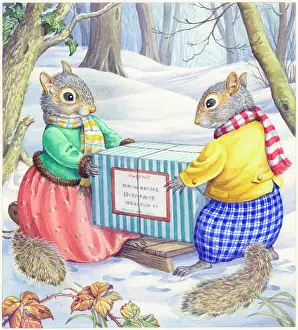 Toboggan: The Special Parcel