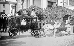 Mouldings: Spectacular Goat-Powered Children's Coach