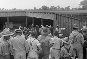 Rs6wnlcgr: Spectators at public farm auction, central Ohio