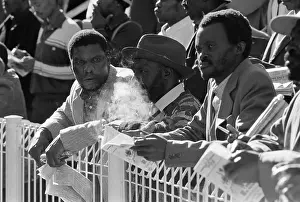 Punter: Spectators and punters at a horse racing event