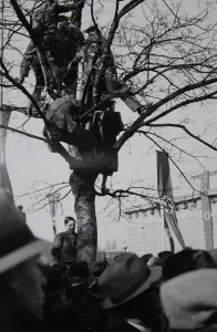 Annexiation: Spectators in the trees at the Heldenplatz
