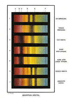 Forensic: Spectra Chart, Blood Samples, 1894
