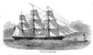 Speedy: SPEEDY CLIPPER