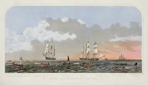 Whaling: Sperm whaling with its varieties