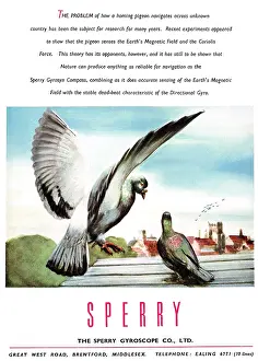 Gyroscope: Sperry Flight & Navigational Instruments