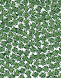 Repeating: Sphagnum moss repeating pattern