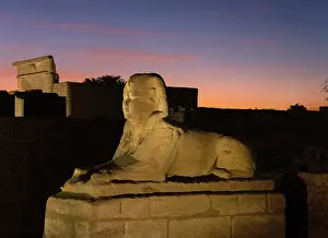 Sphinxes: Sphinx, Dromos, Luxor Temple, Luxor, Egypt