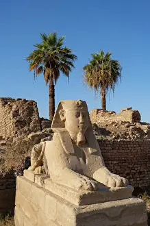 Sphinxes: Sphinx, Dromos, Luxor Temple, Luxor, Egypt