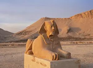 Sphinxes: Sphinx, Temple of Hatshepsut, Theban Necropolis, Egypt