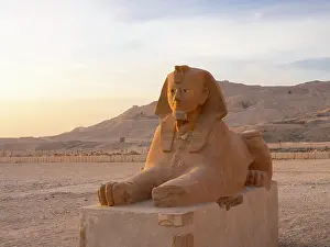 Sphinxes: Sphinx, Temple of Hatshepsut, Theban Necropolis, Egypt