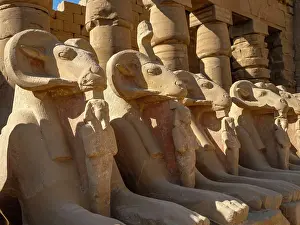 Sphinxes: Sphinxes, Karnak Temple, Thebes, Luxor, Egypt