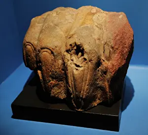 1000: Sphinx's paw from Memphis. 2000-1000 BC. Egypt
