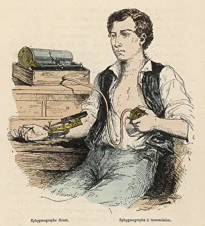 Pulse: SPHYGMOGRAPH/1881