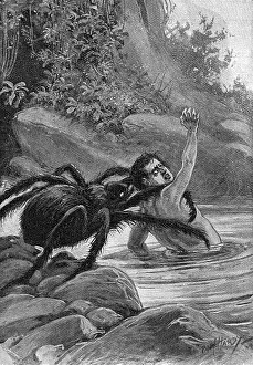 Mythical Creatures: Spider Eats Man 1890s