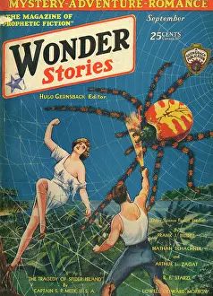 Luckily: SPIDER ISLAND