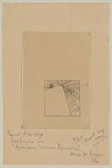 Spiderweb: Spider and leaf on a spiderweb