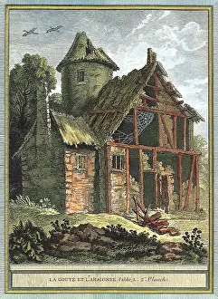 Rotting: Spider in Old Cottage