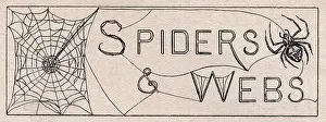 Typeface: Spiders & Webs - Font and graphic in Nature Reader Monthly