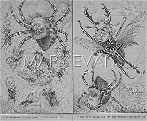 Spiderweb: Spiderweb cartoon 1889