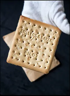 Fenwick: Spillers and Bakers pilot biscuit from RMS Titanic
