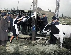 Spilt: SPILT MILK