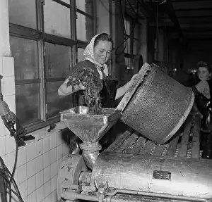 Spinach: Spinach industry