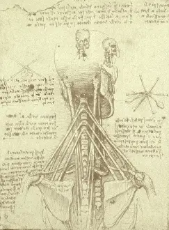 Analogy: Spinal Column Study