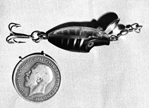 Miniscule: SPINNING FISHING LURE