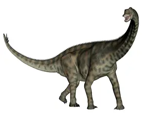 Nigerensis: Spinophorosaurus dinosaur