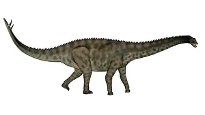 Nigerensis: Spinophorosaurus dinosaur