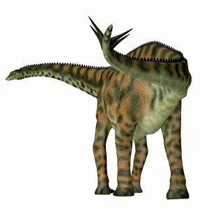 Spiked: Spinophorosaurus dinosaur, rear view