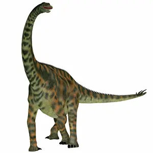 Spinophorosaurus is a sauropod dinosaur from the Jurassic ?
