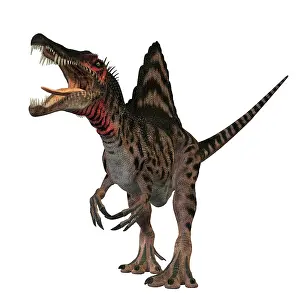 Terrible: Spinosaurus dinosaur