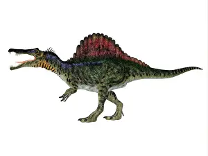 Howling: Spinosaurus dinosaur, side profile