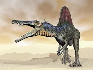 Palaeontology: Spinosaurus dinosaur roaring in the desert