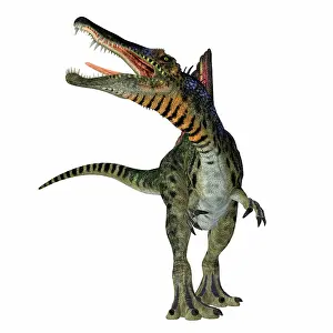 Howling: Spinosaurus dinosaur roaring, front view