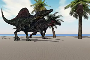 Terrible: Two Spinosaurus dinosaurs amble down a beach looking for ?