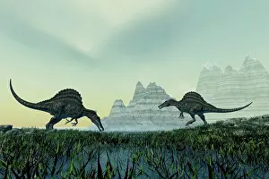 Terrible: Spinosaurus dinosaurs drink from a marsh area in ?
