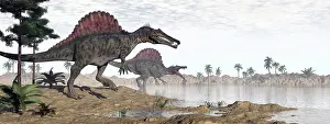 Howling: Two Spinosaurus dinosaurs walking to the water in a desert ?