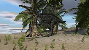 Tempskya: Spinosaurus hunting in a desert environment