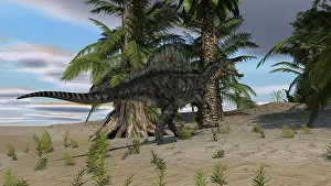 Tempskya: Spinosaurus hunting in a desert environment