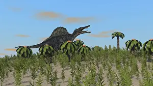 Spinosaurus: Spinosaurus hunting in a desert environment