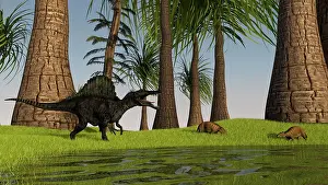 Eurohippus: Spinosaurus hunting along the edge of a swamp while a pair ?