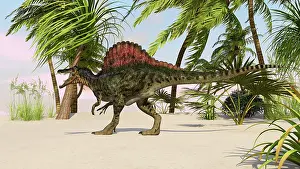 Spinosaurus: Spinosaurus hunting for food