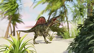 Spinosaurus: Spinosaurus hunting for its next meal